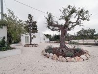 Servizio Martina Franca