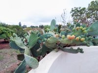 DSC8580